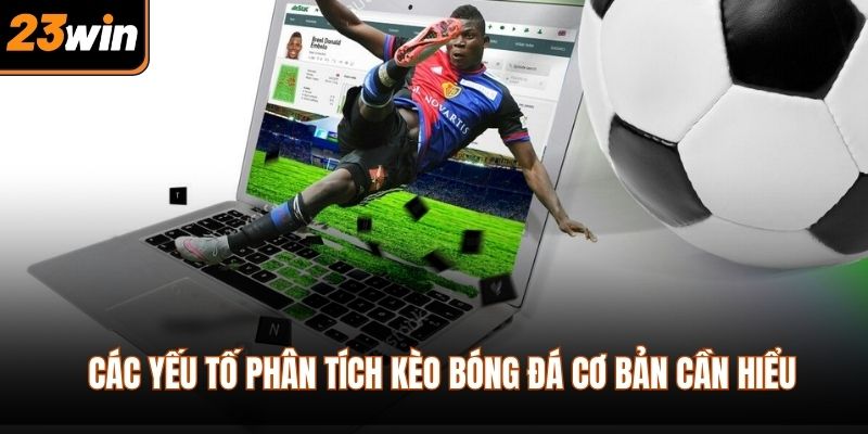Các yếu tố phân tích kèo bóng đá cơ bản cần hiểu