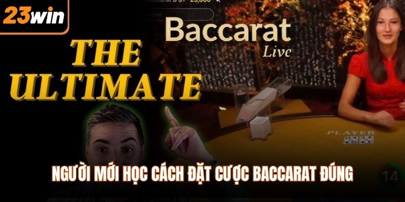 Người mới học cách đặt cược baccarat đúng