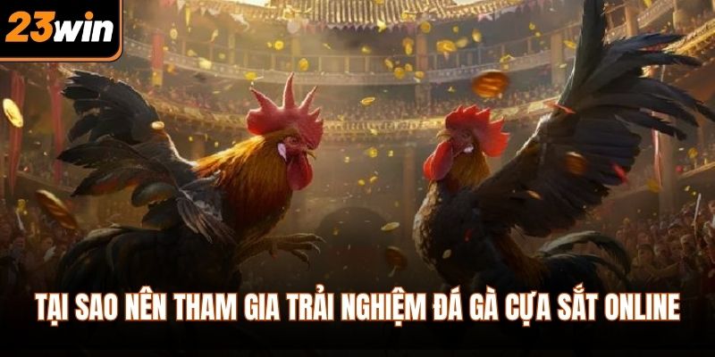 Tại sao nên tham gia trải nghiệm đá gà cựa sắt online