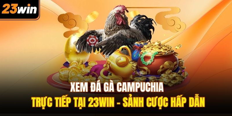 xem đá gà campuchia